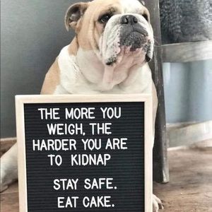 Meet your Posher, Tia